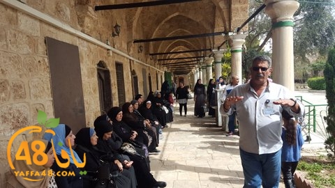 re7la shamal tamer (14).jpg